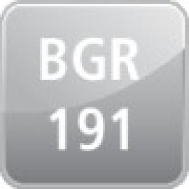 BGR191_4cvk_grau_as.jpg