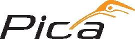 Pica