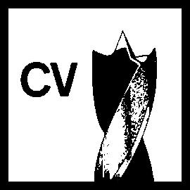 Chrom-Vanadium.