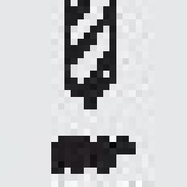 Piktogramm