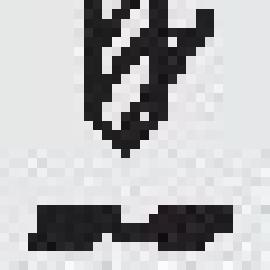 Piktogramm