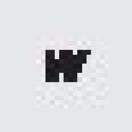 Piktogramm