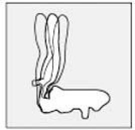 Mechanik
•	Lehnenneigungsverstellung
•	Permanentkontakt