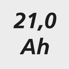 seal_2