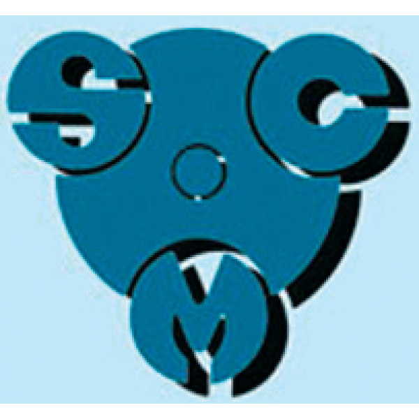 Web Logo 1