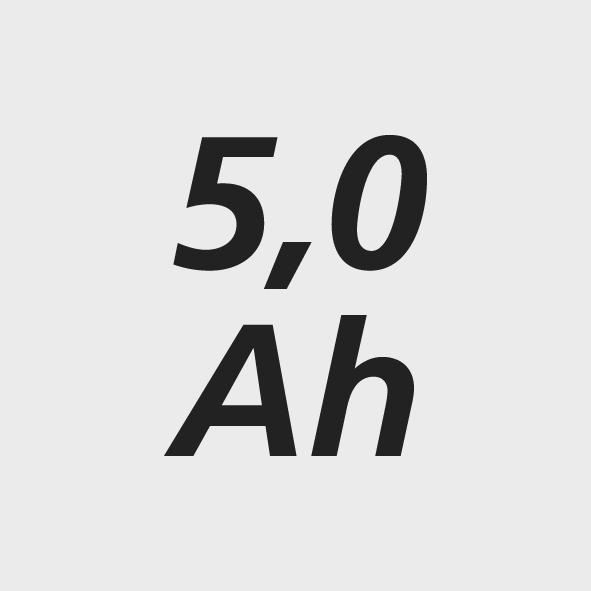 seal_3