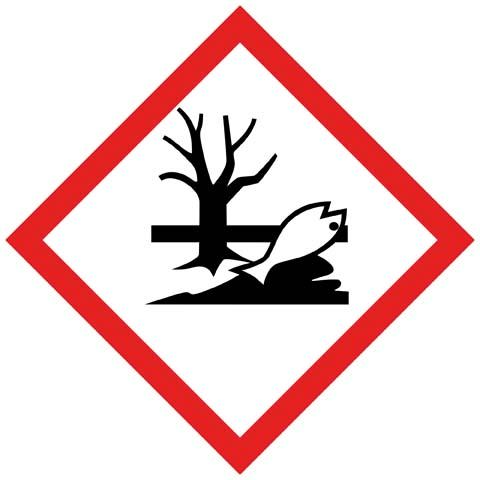 seal_5