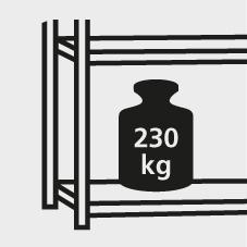 seal_41