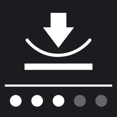 seal_3