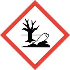 seal_7