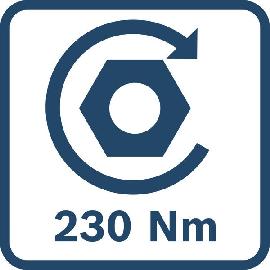Anzugsdrehmoment 230 Nm