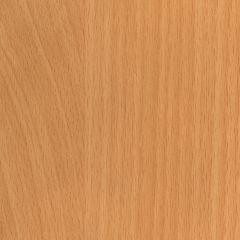 seal_4
