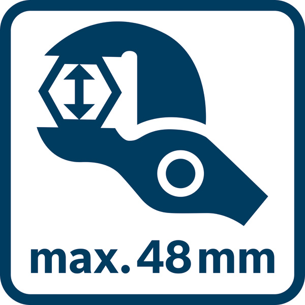 seal_4
