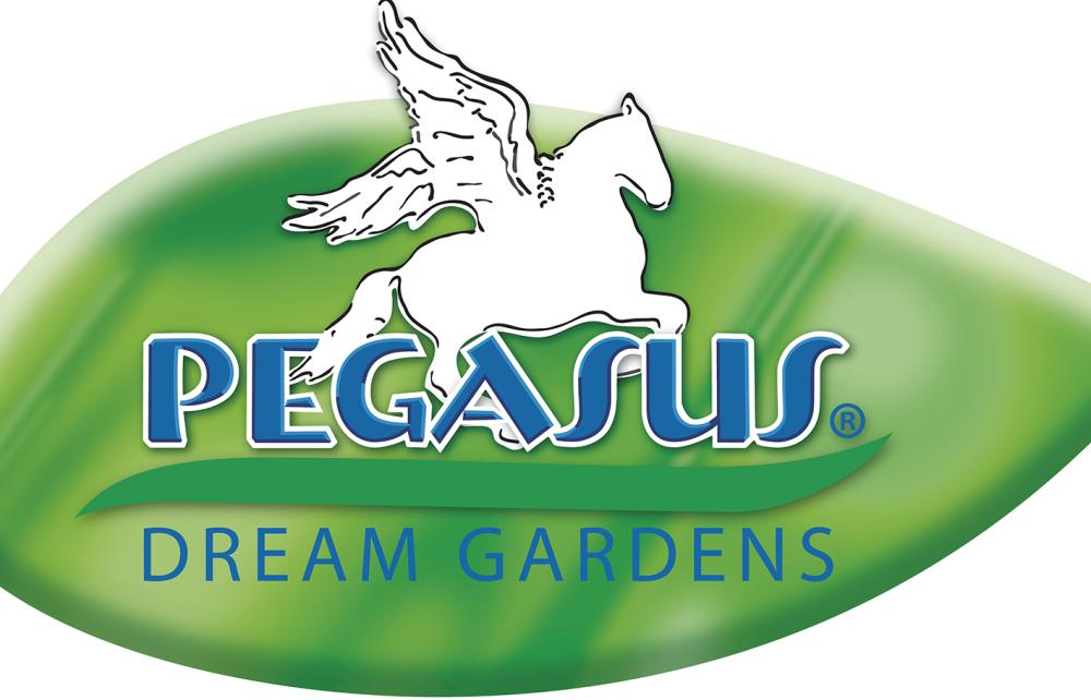 logo_1