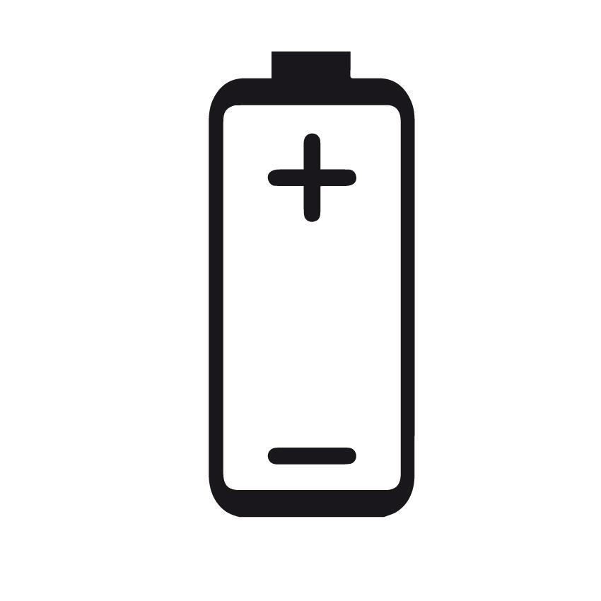 seal_5
