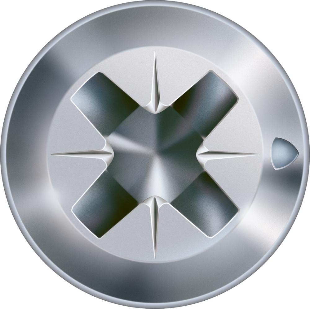 seal_4