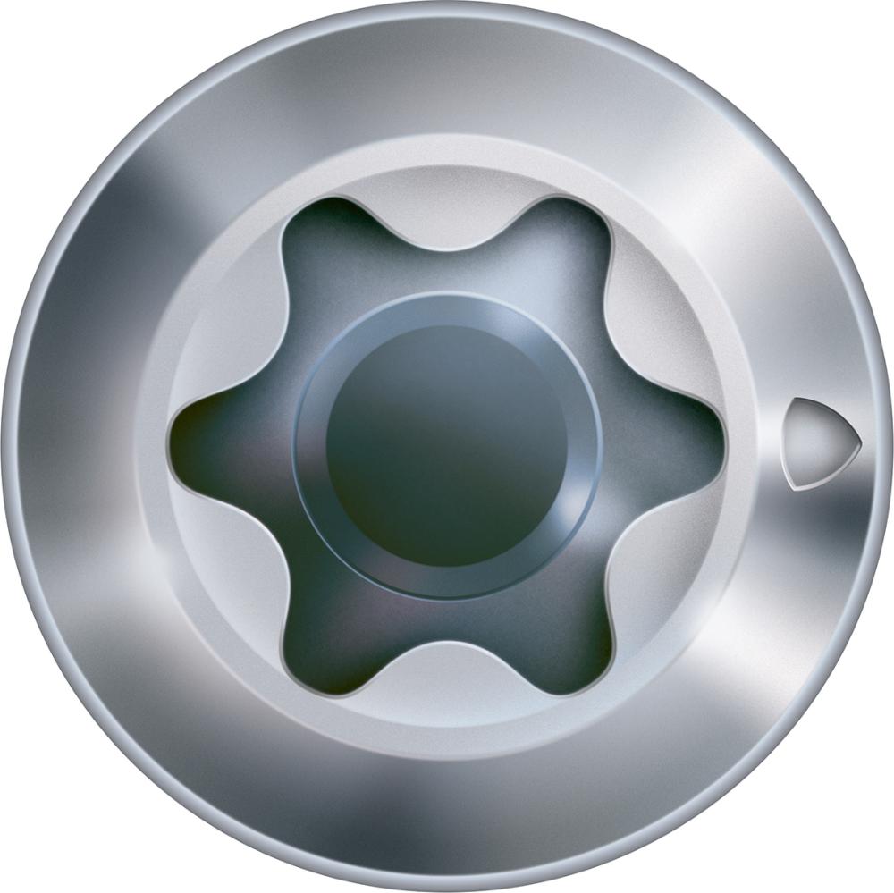 seal_4