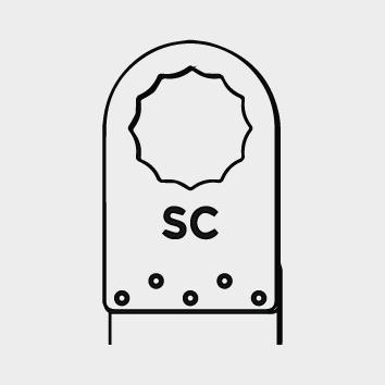 seal_2