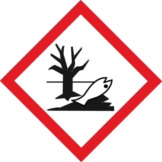 seal_6