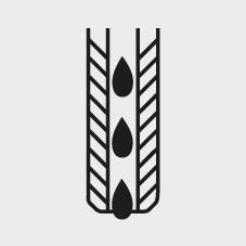 seal_6