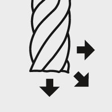 seal_9