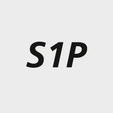 seal_2