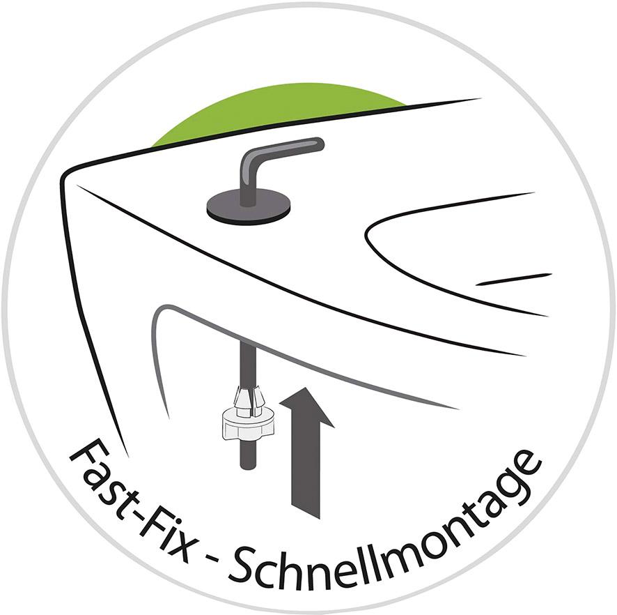 seal_2