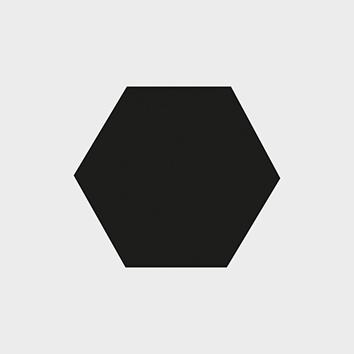 seal_10