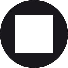seal_7