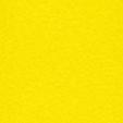 seal_3