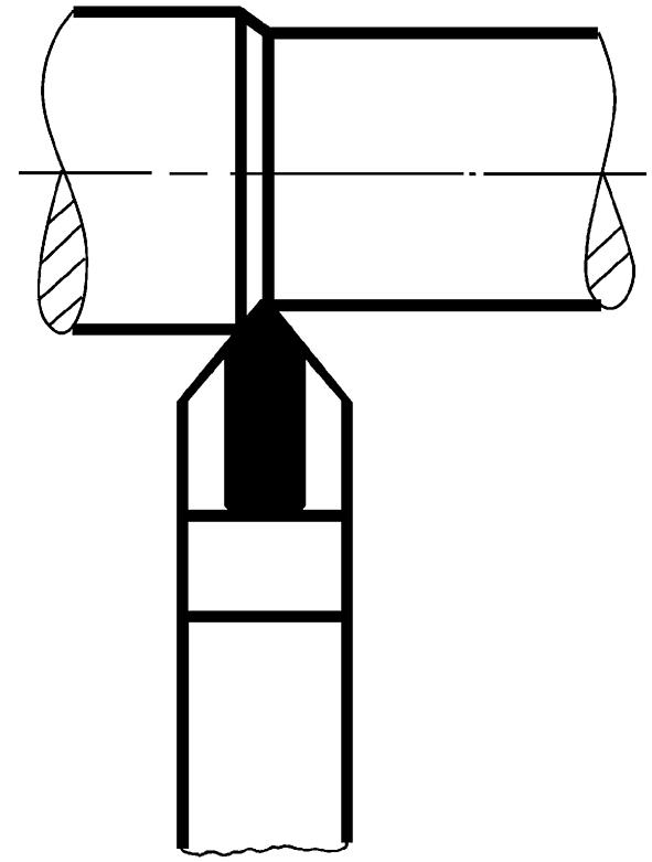seal_2