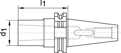 seal_2
