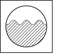 seal_2