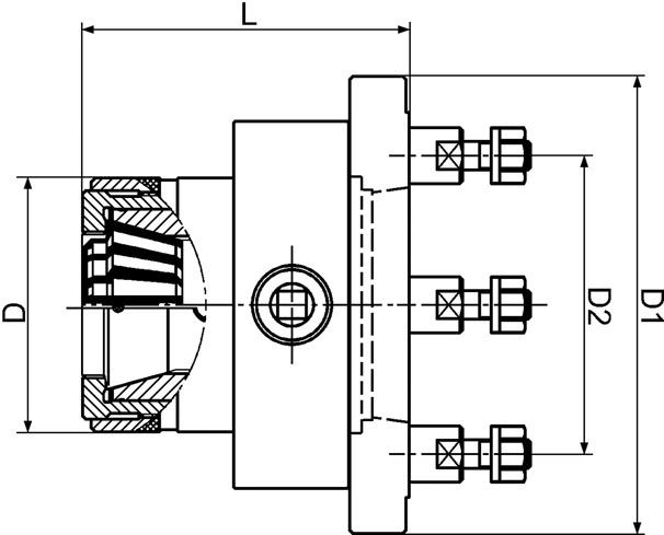 seal_2