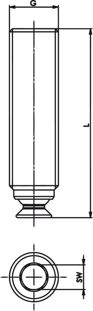seal_2