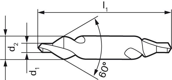 seal_2