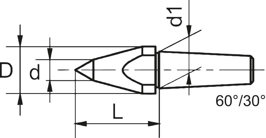seal_2