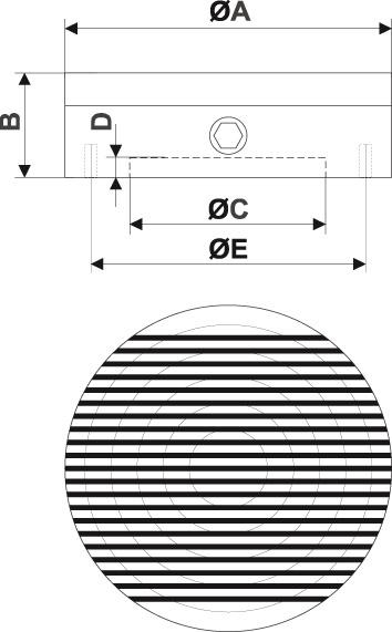 seal_2