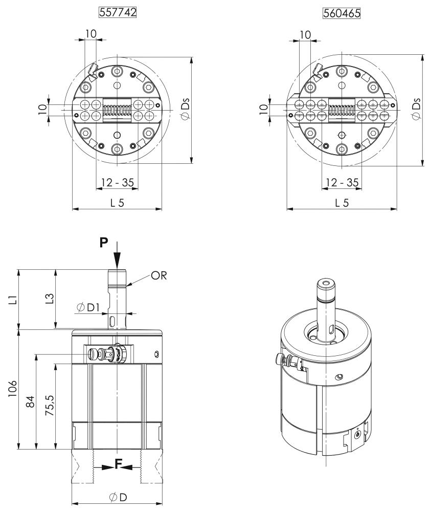 seal_2