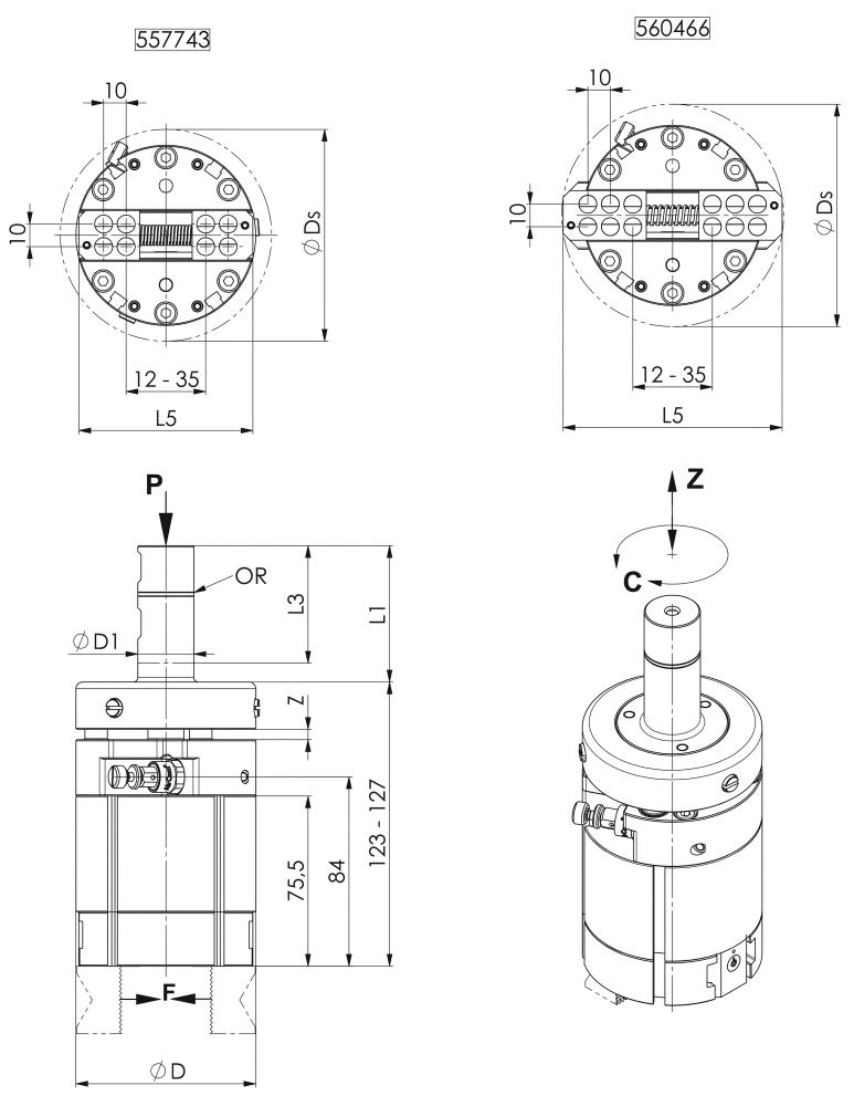 seal_2