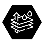 seal_3