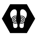 seal_6