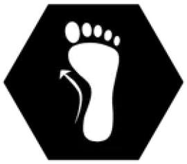 Icon_Atlas_Mehrweitensystem.jpg