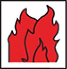 Icon_Fischer_Flamme.jpg