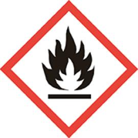 Icon_GFZ_Flamme.jpg