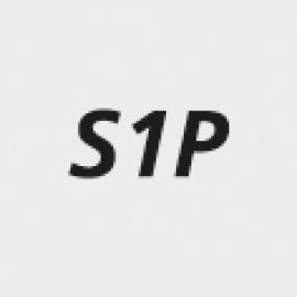 Icon_S1P.jpg