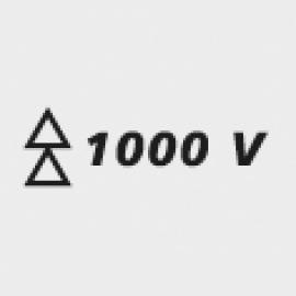 icon_1000V.jpg