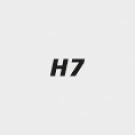 icon_Bohrungstoleranz_H7.jpg