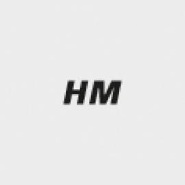 icon_HM.jpg