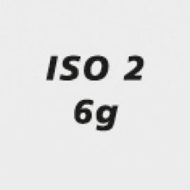 icon_ISO_Toleranz_ISO2_6g.jpg